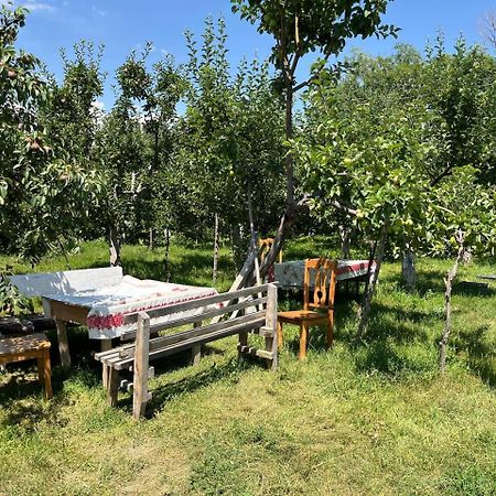 "Bilim" Guest House Tamchy Exteriér fotografie