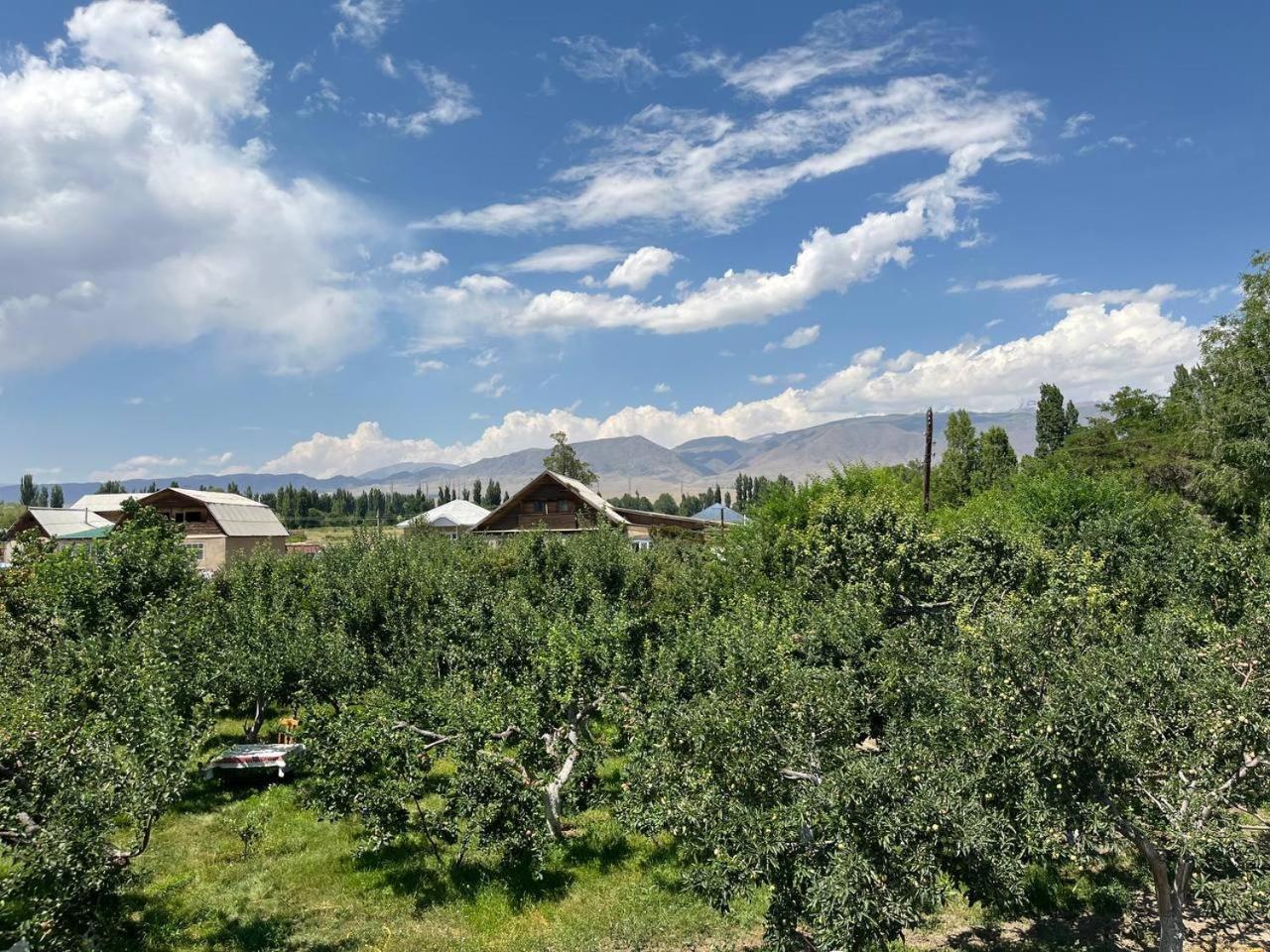 "Bilim" Guest House Tamchy Exteriér fotografie