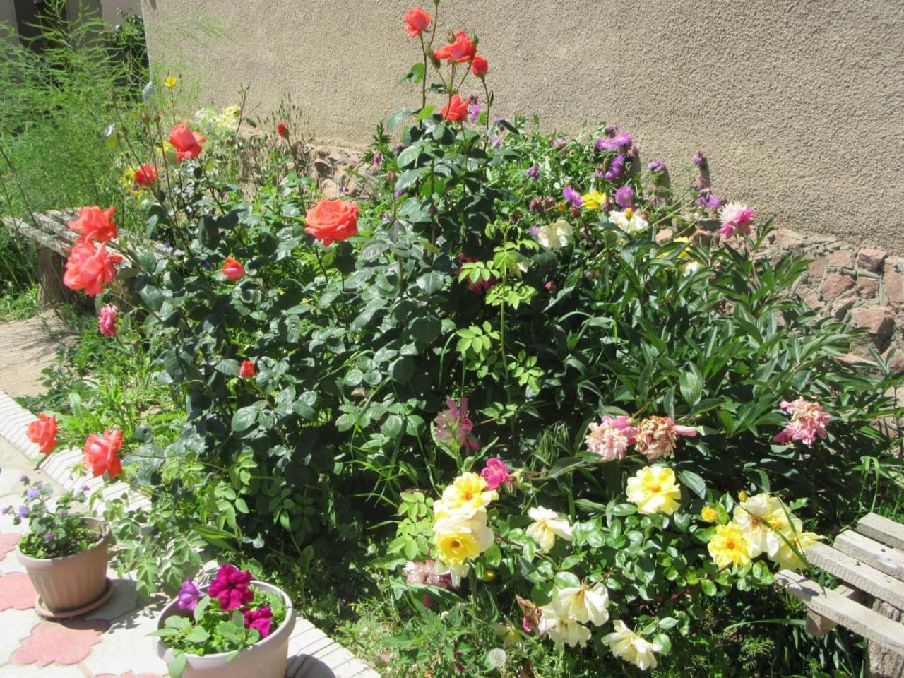 "Bilim" Guest House Tamchy Exteriér fotografie